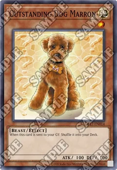 Outstanding Dog Marron OP17-EN014
