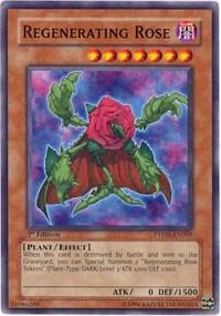 Regenerating Rose 1st Edition PTDN-EN005
