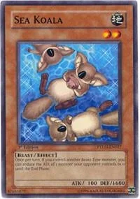 Sea Koala Unlimited PTDN-EN037