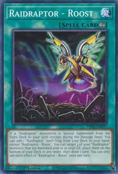 Raidraptor - Roost PHNI-EN057