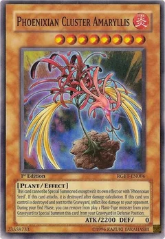 Phoenixian Cluster Amaryllis Unlimited RGBT-EN006