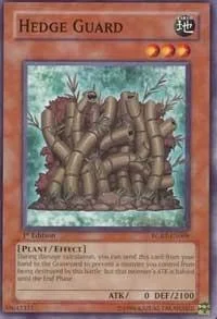 Hedge Guard 1st Edition RGBT-EN008