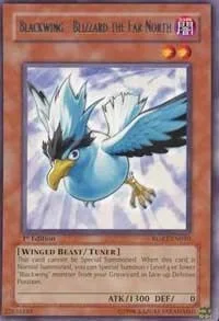 Blackwing - Blizzard the Far North 1st Edition RGBT-EN010