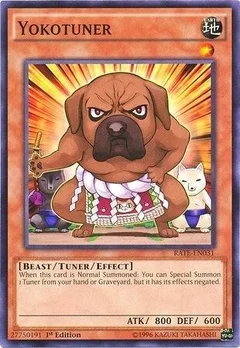 Yokotuner Unlimited RATE-EN031