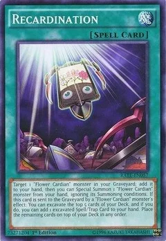 Recardination 1st Edition RATE-EN057