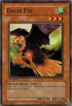 Eagle Eye Unlimited RDS-EN022