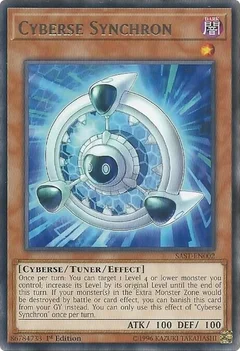 Cyberse Synchron Unlimited SAST-EN002