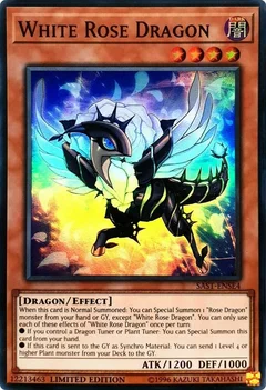 White Rose Dragon SAST-ENSE4