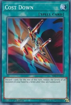 Cost Down SS02-ENA12