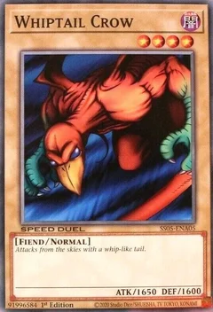 Whiptail Crow SS05-ENA05
