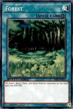 Forest SS03-ENB17