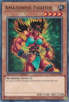 Amazoness Fighter SGX3-END06