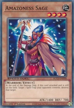 Amazoness Sage SGX3-END08