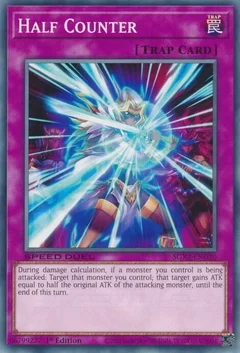 Half Counter SGX3-END20