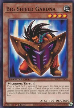 Big Shield Gardna SBC2-ENA08