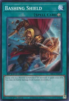 Bashing Shield SBC2-ENF16