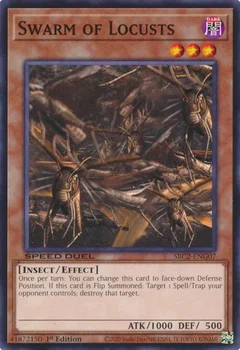 Swarm of Locusts SBC2-ENG07