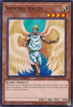 Shining Angel SBC2-ENI10