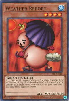 Weather Report SRL-EN020