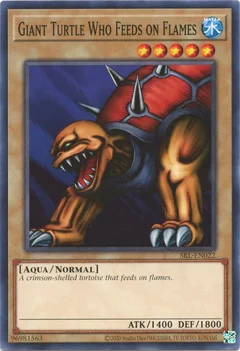 Giant Turtle Who Feeds on Flames SRL-EN022
