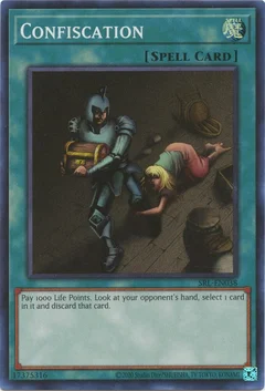 Confiscation SRL-EN038