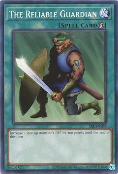 The Reliable Guardian SRL-EN044