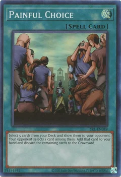 Painful Choice SRL-EN049
