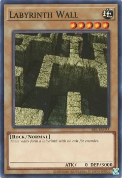 Labyrinth Wall SRL-EN055