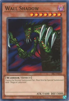 Wall Shadow SRL-EN056