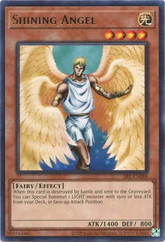 Shining Angel SRL-EN088