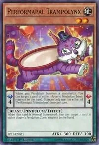 Performapal Trampolynx SP15-EN021