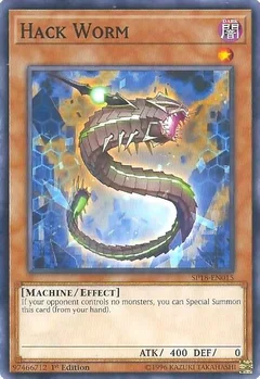 Hack Worm SP18-EN015