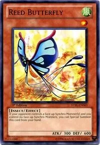 Reed Butterfly 1st Edition STBL-EN003