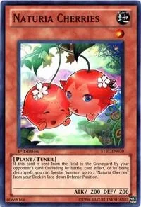 Naturia Cherries 1st Edition STBL-EN030