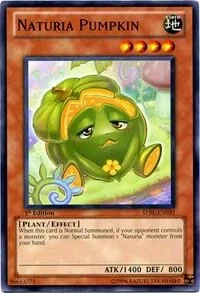Naturia Pumpkin Unlimited STBL-EN031