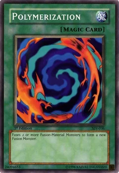 Polymerization 1st Edition SDJ-036