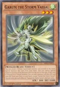 Garum the Storm Vassal Unlimited SR01-EN015