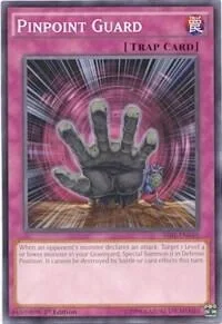 Pinpoint Guard Unlimited SR01-EN040