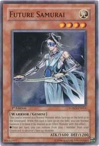 Future Samurai SDWS-EN014