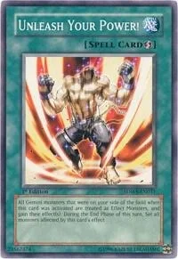 Unleash Your Power! SDWS-EN031