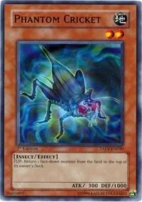 Phantom Cricket Unlimited TAEV-EN030