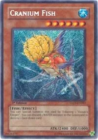 Cranium Fish Unlimited TAEV-EN083