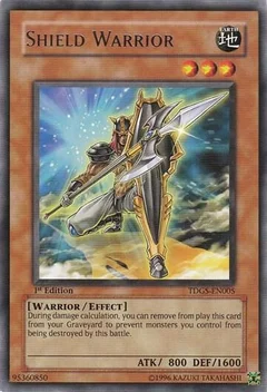 Shield Warrior 1st Edition TDGS-EN005