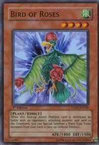Bird of Roses 1st Edition TSHD-EN018