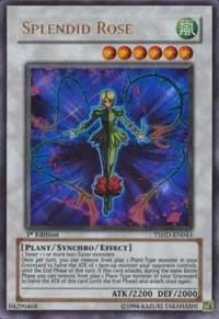 Splendid Rose 1st Edition TSHD-EN043
