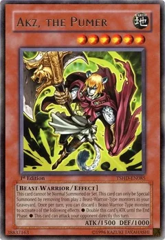 Akz, the Pumer 1st Edition TSHD-EN085