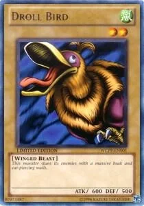Droll Bird WCPP-EN001